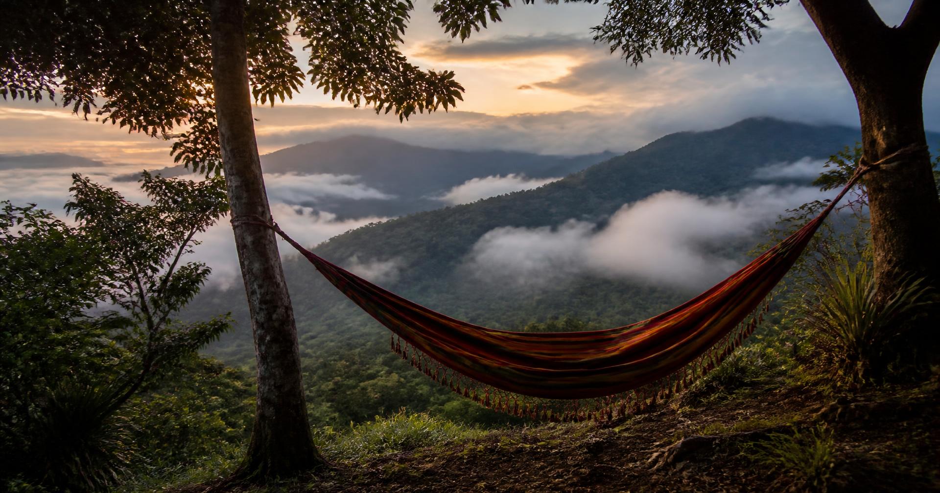 Hammock strung between trees above the misty Sierra Nevada at dawn
